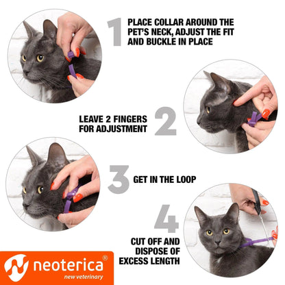 Cat Calming Collar