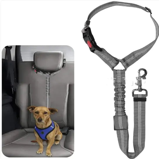 Pet Car Harness